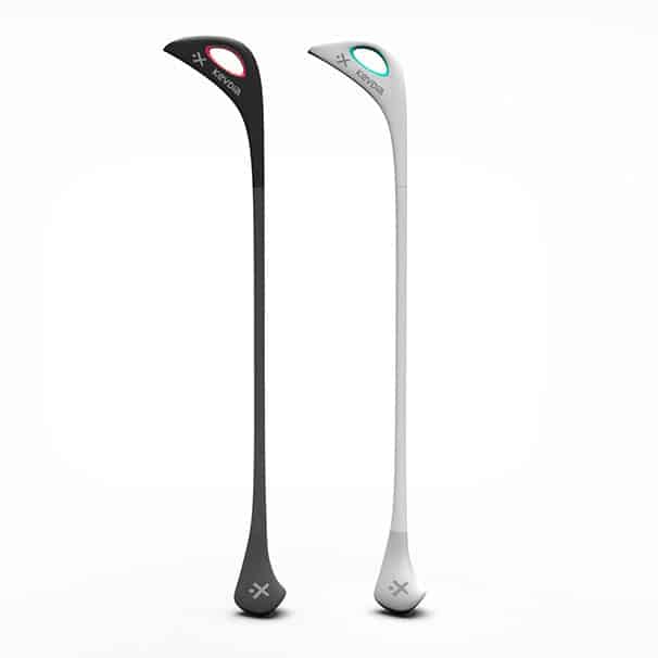 Standing-Walking-Stick-in-two-colors