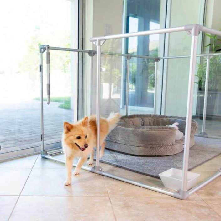 Glass Dog Play Pen