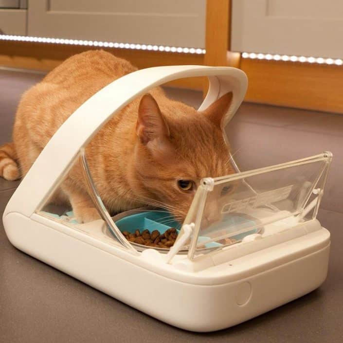 Smart pet Feeder