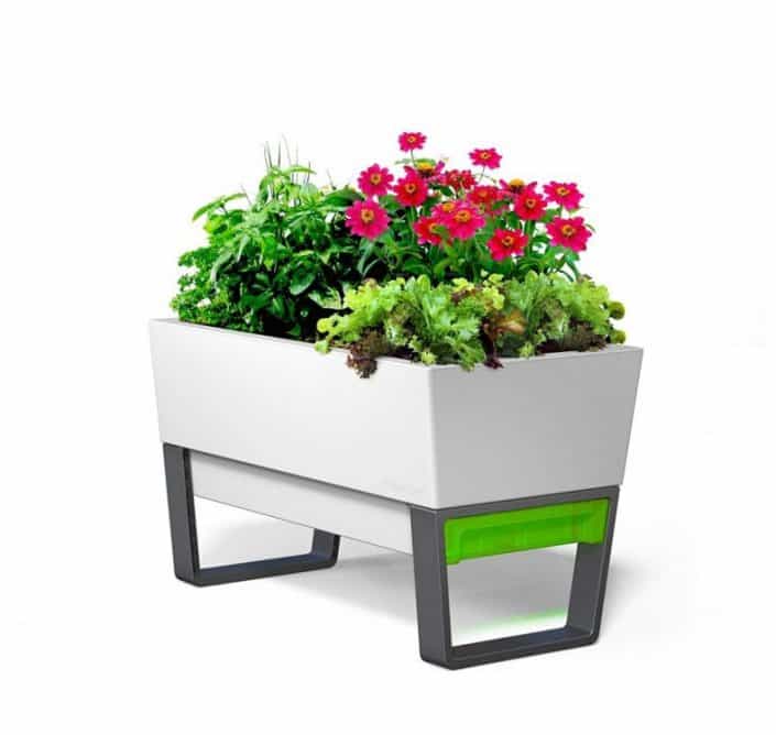 Self-Watering Planter Box