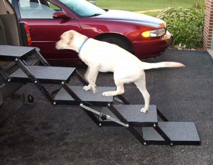 Foldable Pet Loader Stairs