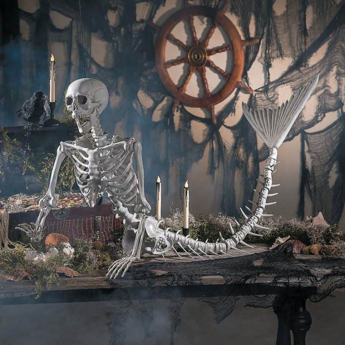 Mermaid Skeleton on display
