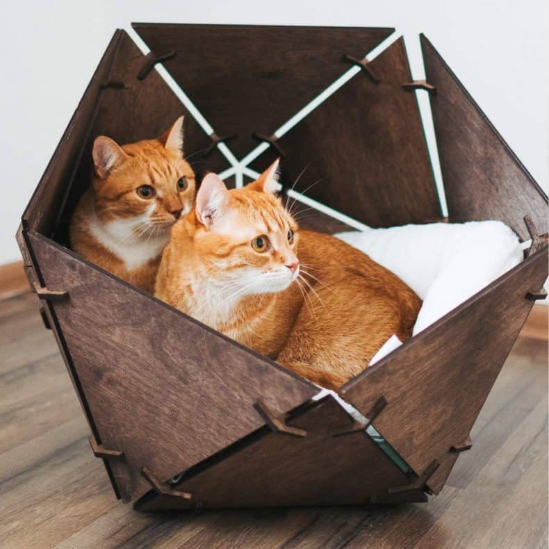 Handcrafted Cat Bed for Large Cat Suckstobebroke