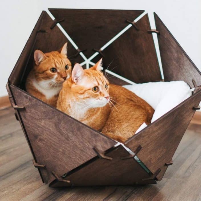 Cat Bed for Large Cat