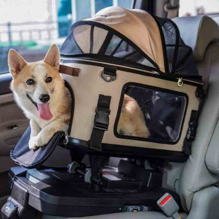 Foxbox Dog Safety Car Seat.jpg