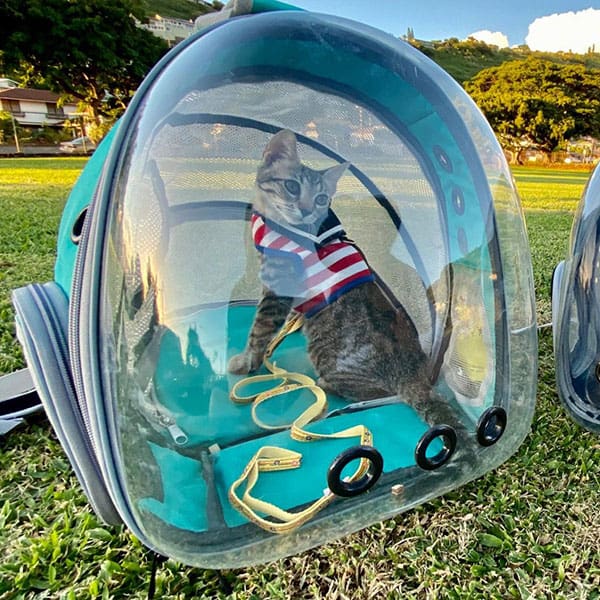 Space Capsule Pet Carrier