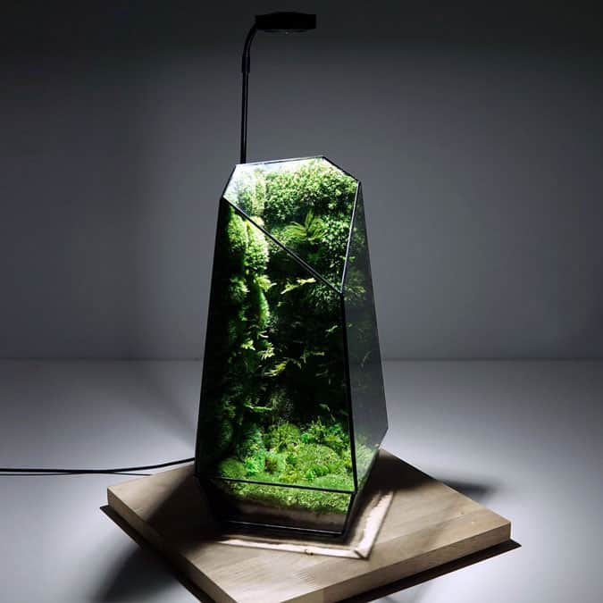 Terraliving Preserved Moss Terrariums