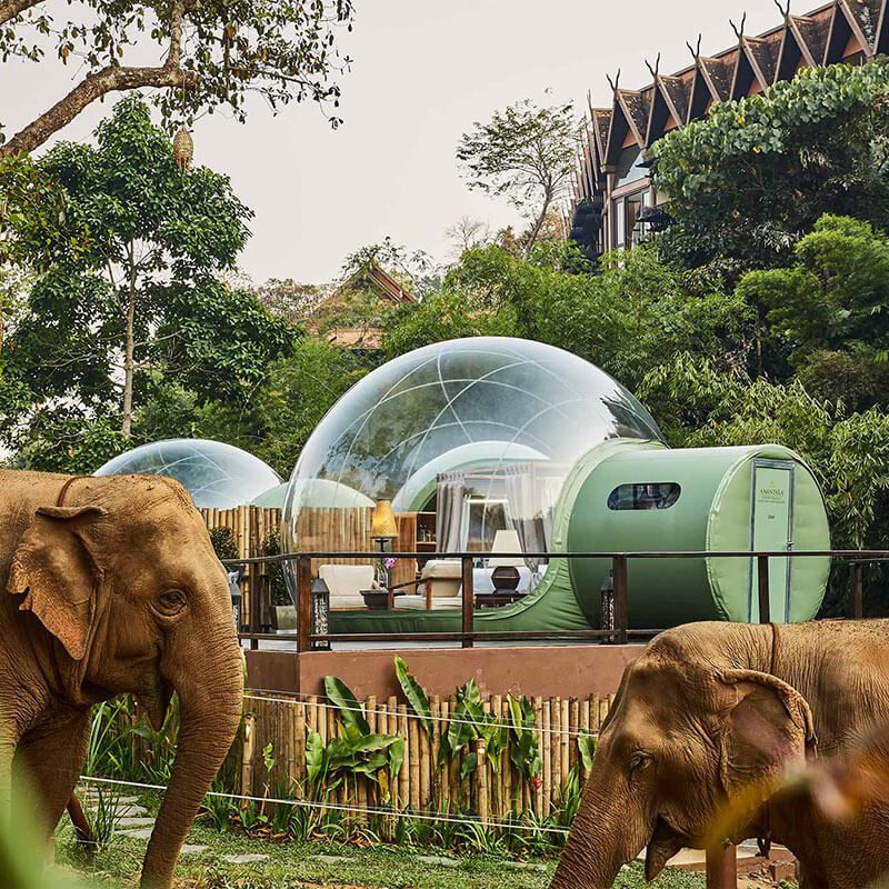 This Luxury Bubble Lounge Provides An Excellent View Of Rescue Elephants In The Thai Forest