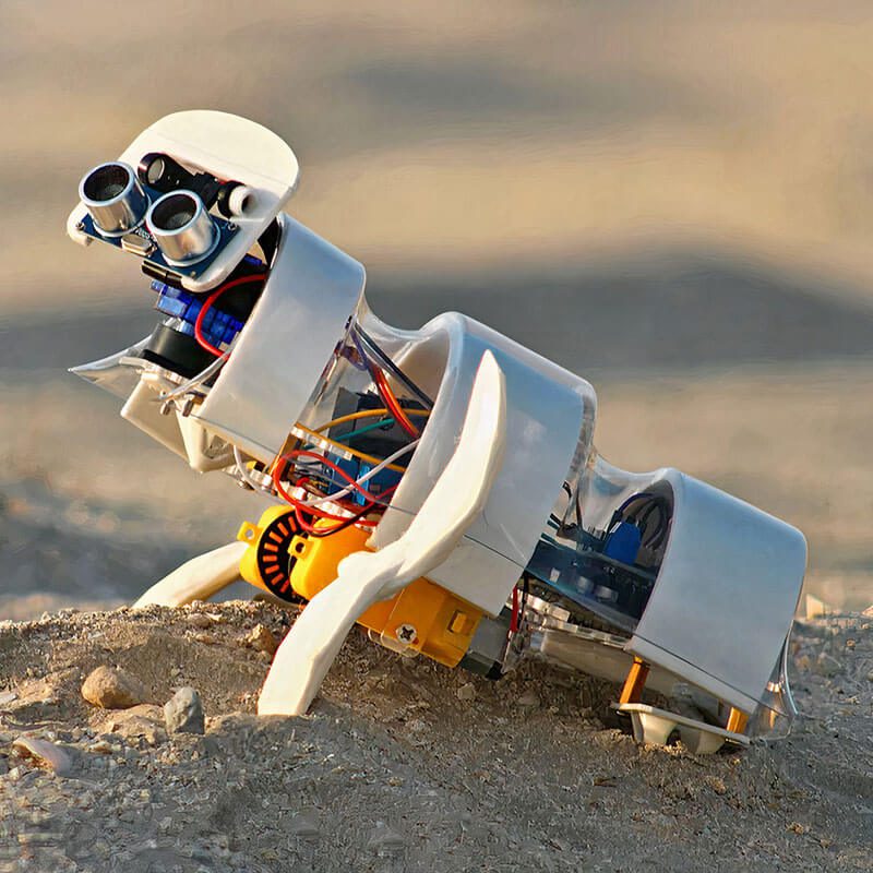 This Tiny Robot Can Transform A Desert Into A Lush Green Habitable Forest