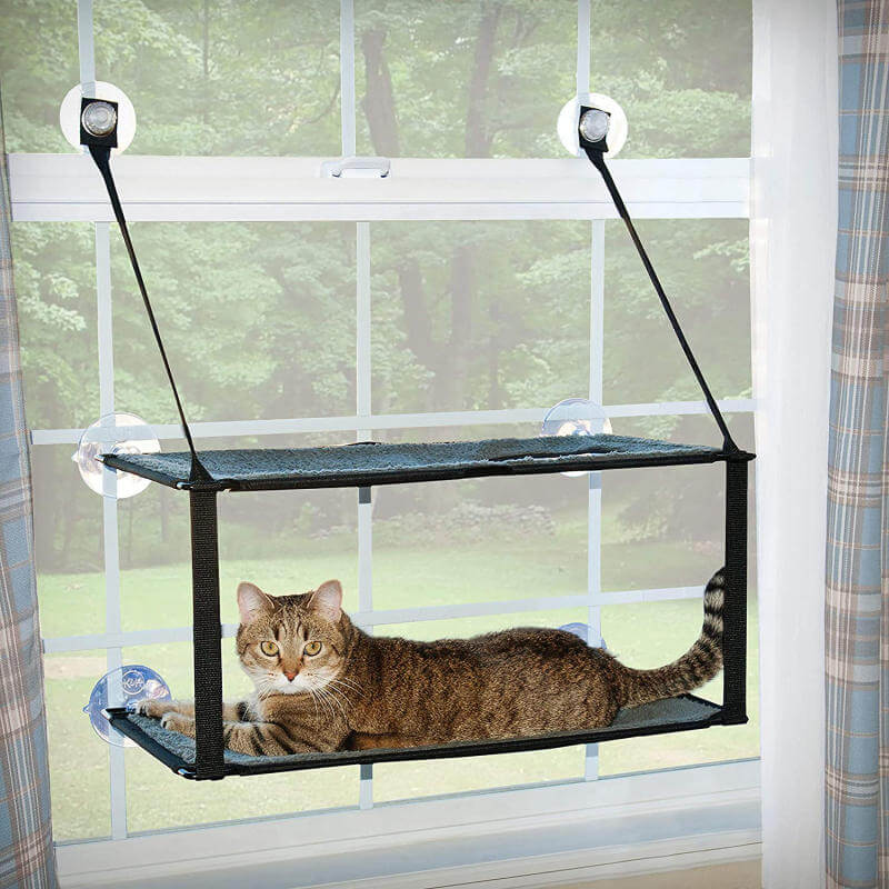 Window Mount Cat Perch.jpg