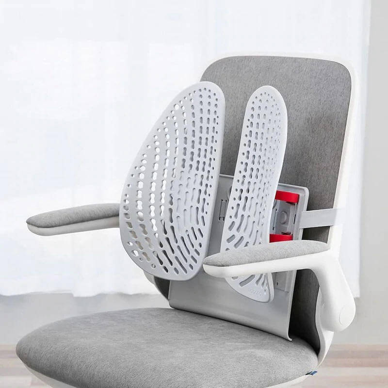 Leband Lumbar Back Support For Office Chair.jpg