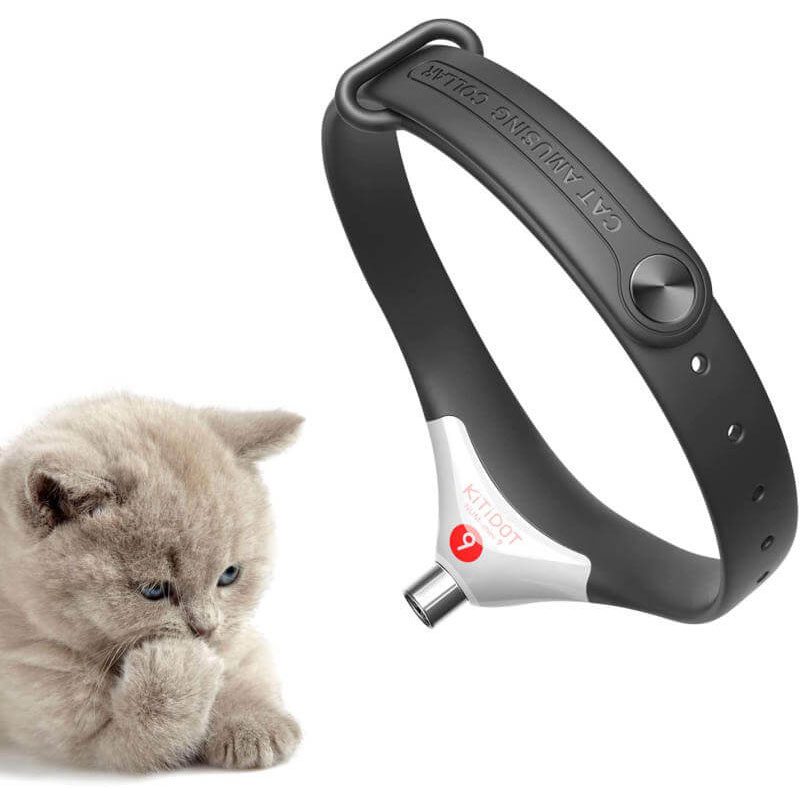 Laser Light Cat Collar2.jpg