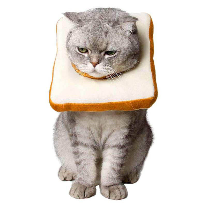Slice Of Bread Cat Collar.jpg