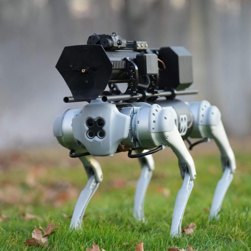 Throwflame Thermonator Robodog