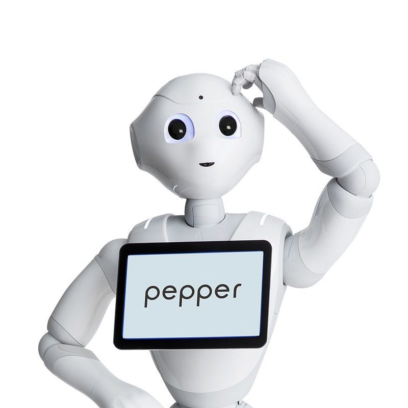Pepper The Humanoid Robot
